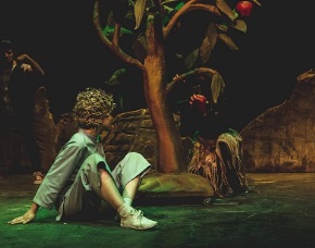 «Ο μικρός πρίγκιπας» Θεατρική παράσταση στο Μουσείο Περιβάλλοντος Στυμφαλίας