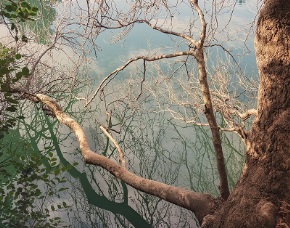 “Somewhere” Έκθεση φωτογραφίας του Γιώργου Καμηλάκη στο Μουσείο Περιβάλλοντος Στυμφαλίας
