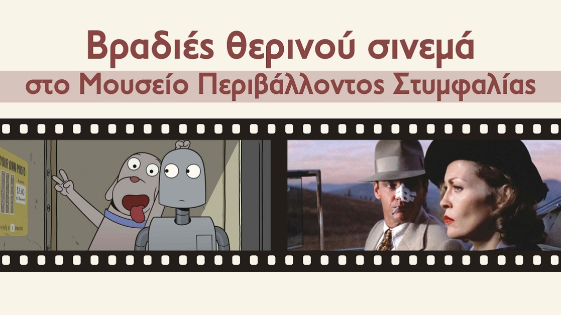 vradies-cinema-1117