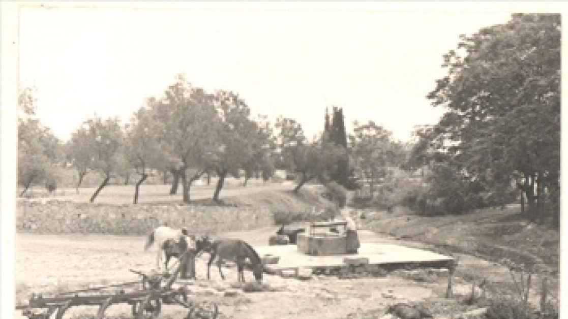 diimerida_perivallontos_2016_350