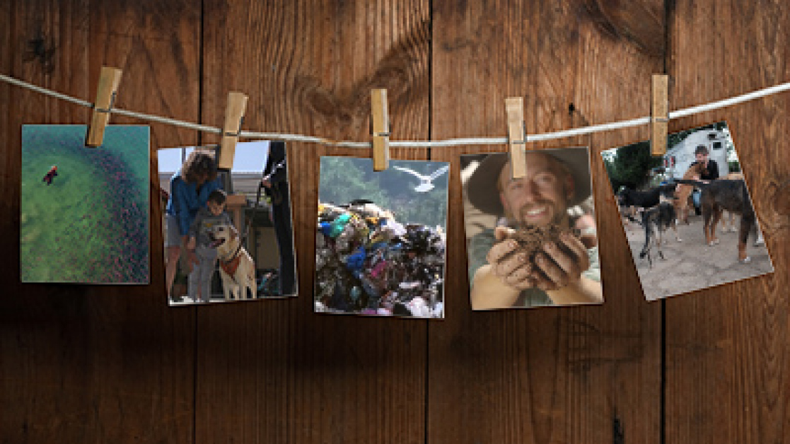festival-doc-pel-2022-400