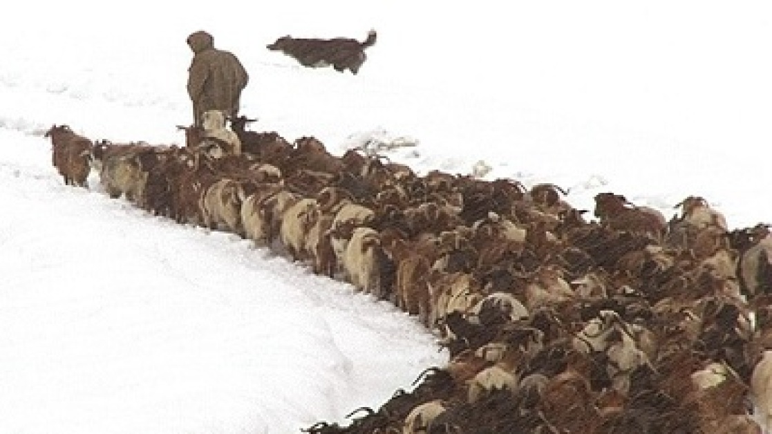 oi-sarakatsanoi-tis-korinthias-400