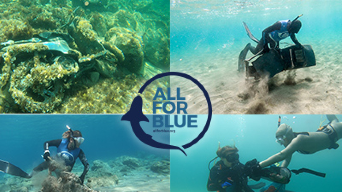 Allforblue-400