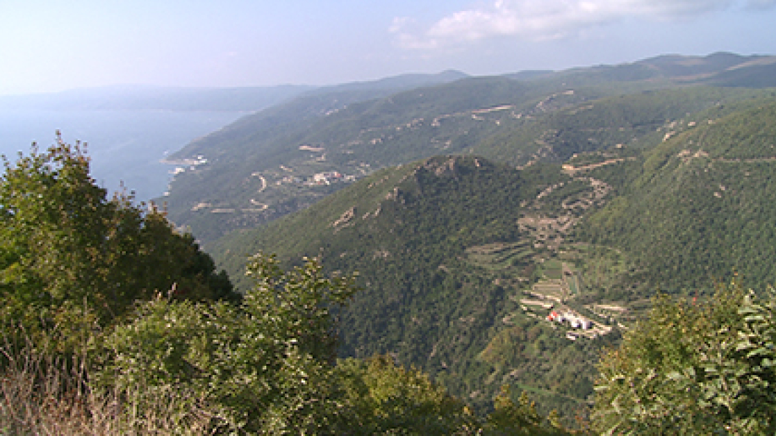 xalkida