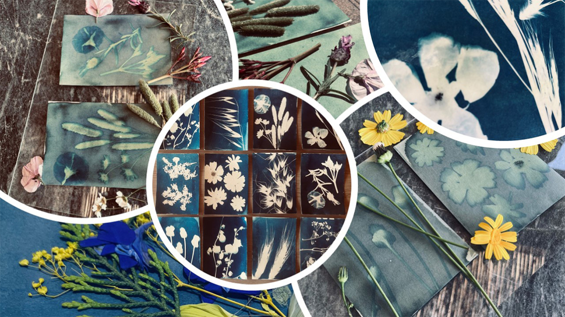 xarti-melani-ilios-1120