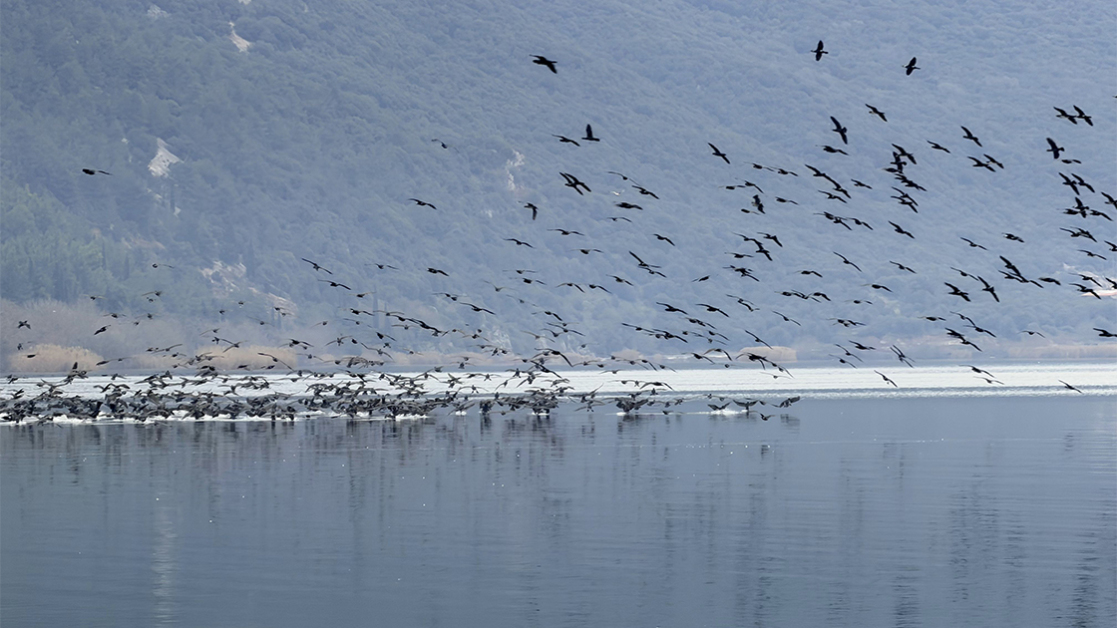 pagkosmia-imera-ygrotopon-1120