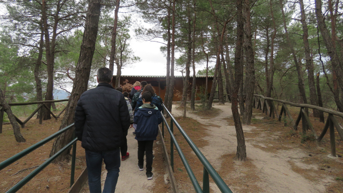 dash-kai-oikonomia-1120