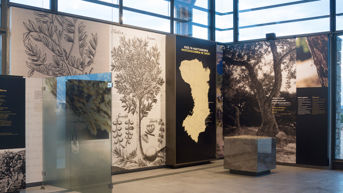 to-mouseio-mas-periigisi-1120