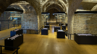 writing-book-read-open-wing-leaf-895607-pxhere_1__4_