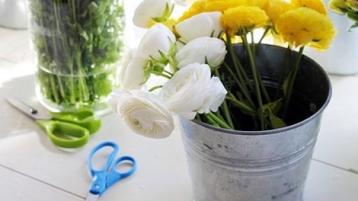 magiatiko-stefani-400