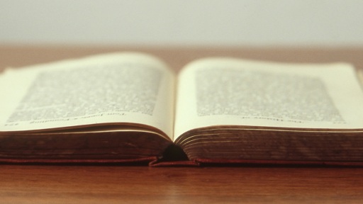 sinergasia-me-faro-1117