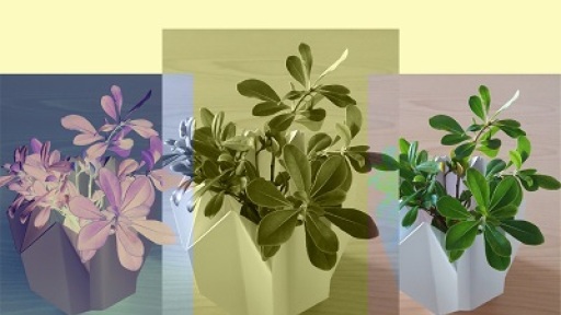 ptixoseis-se-xarti-400