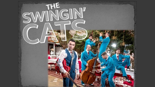 swinging-cats-1117