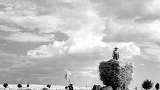 to-fotografio-tou-mpampa-mou-400c