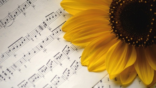 melodies-me-aroma-ginaikas-1117