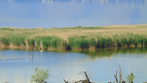 pagosmia-imera-perivallontos-400