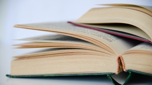 viomatiko-seminario-afigisis-400