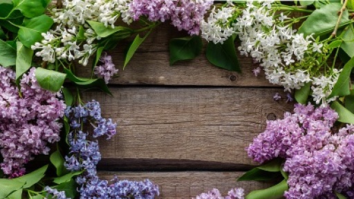 kalosorizoume-tin-anoiksi-400