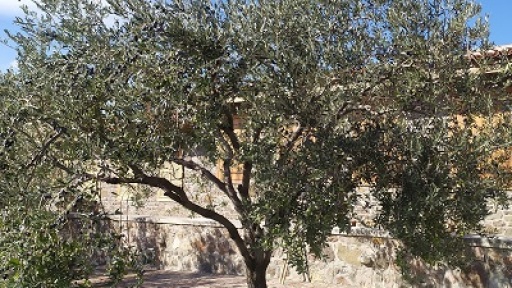 rabdistades-mazochtres-400