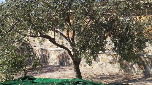 ravdistades-kai-mazochtres-1117