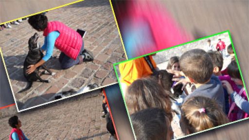 syntrofia-me-ta-zoa-400