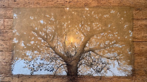 imera-elaiodentrou-1117