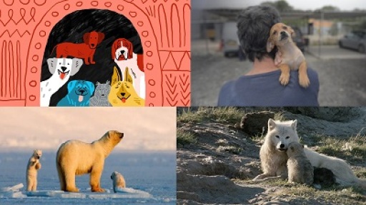 provoles-9o-festival-documentary-400