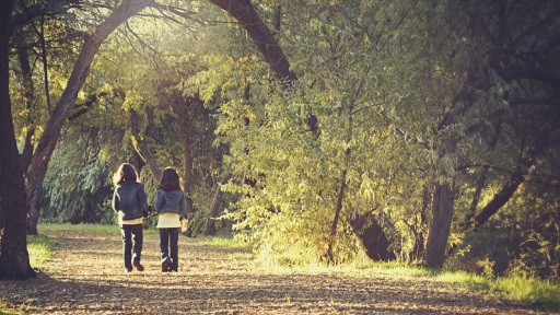 drasi-euaisthitopoihsis-1117