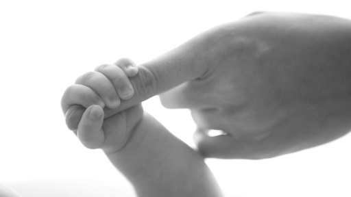 ergasthri-pleksimatos-1117