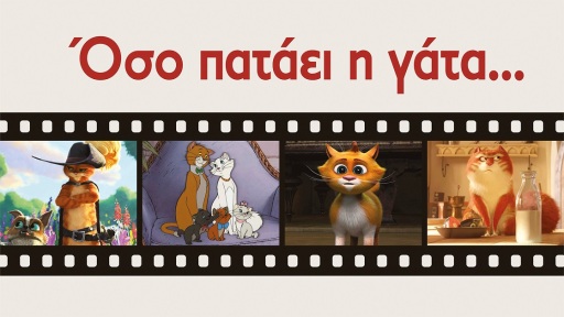 oso-pataei-h-gata-1117