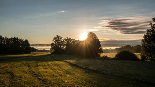 pagosmia-imera-agrias-zois-400