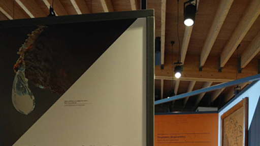 egainia-ekthesis-istories-me-aroma-mastixas-2018(400)