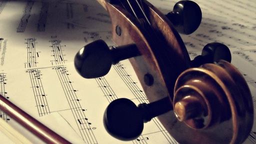 ftero-ston-anemo-1117