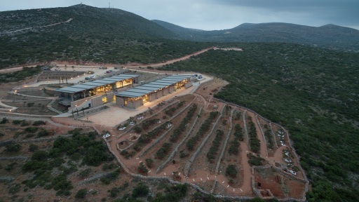 politistikos-peripatos-1117