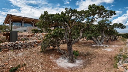 thelo-na-gino-dentro-1117