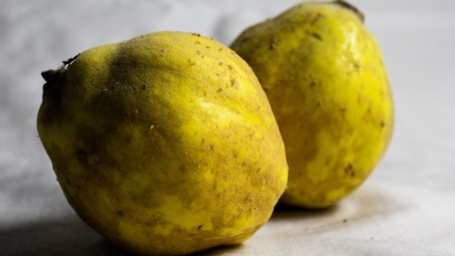 nekri-fisi-still-life-1117