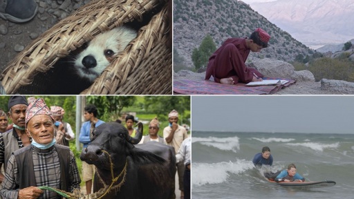 10o-festival-documentary-1117