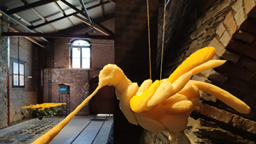 terra-in-cognita-400