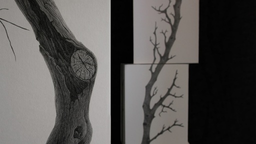 pagkosmia-hmera-perivallontos-1117