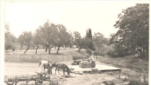 diimerida_perivallontos_2016_350