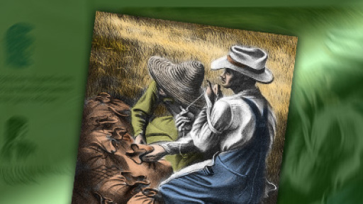 diimerida-perivallontos-2018-400