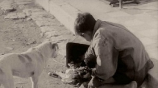 genoktonia_mnimis_300