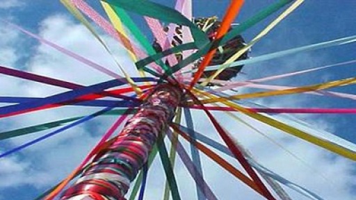 gaitanopleximata_400