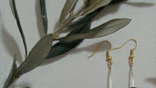 MBEL_kosmimata-empneusmena-apo-tin-elia