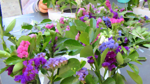 magiatika-stefania-400