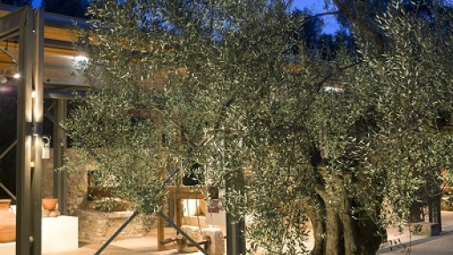 mistika-krimena-stin-elia-400