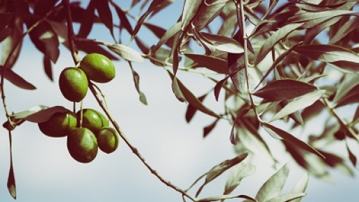 tis-elias-ta-paramythia-400