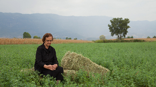 And_I_Also_Passed_by_There-400