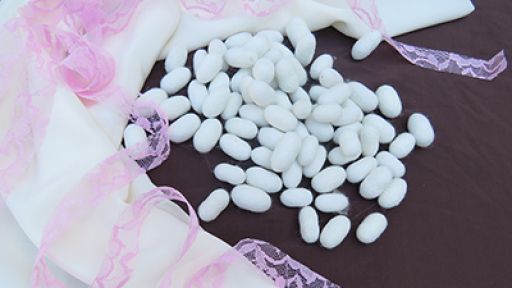 MM-ergastiri-nyfikou-forematos-400