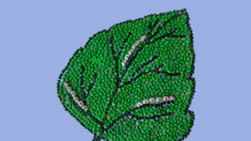 dimiourgiko-ergastiri-anakyklonontas-tis-apokries-300